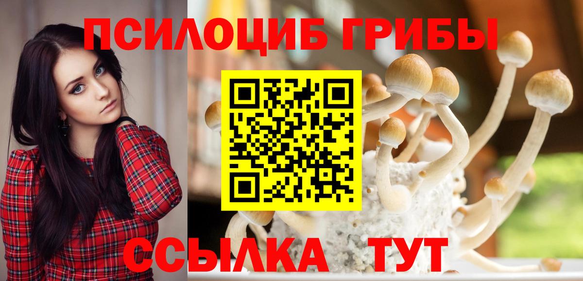 Галлюциногенные грибы Magic Shrooms Ипатово