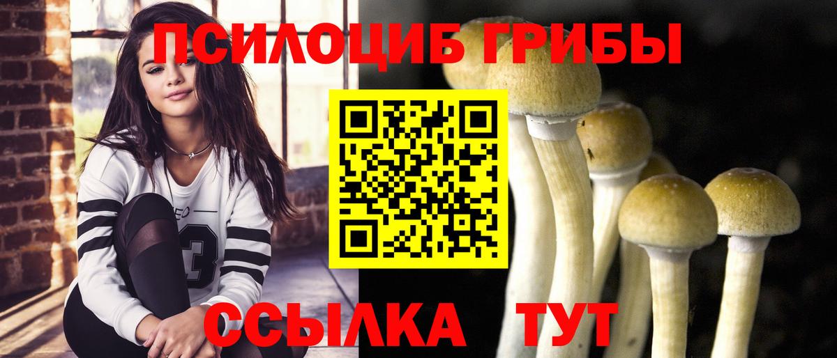 Ипатово  Галлюциногенные грибы прущие грибы  Вход с VPN  Галлюциногенные грибы MAGIC MUSHROOMS 